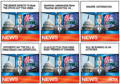 THE STOCK ACT by R.J. Matson
