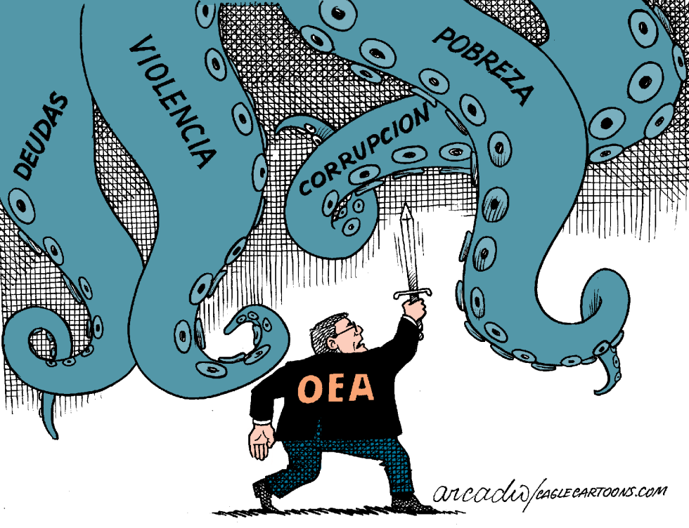 Futuro en la OEA