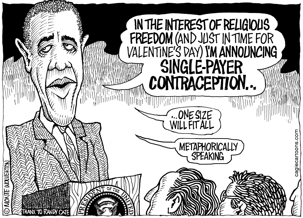 Single-Payer Contraception