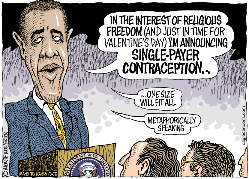 Single-Payer Contraception COLOR