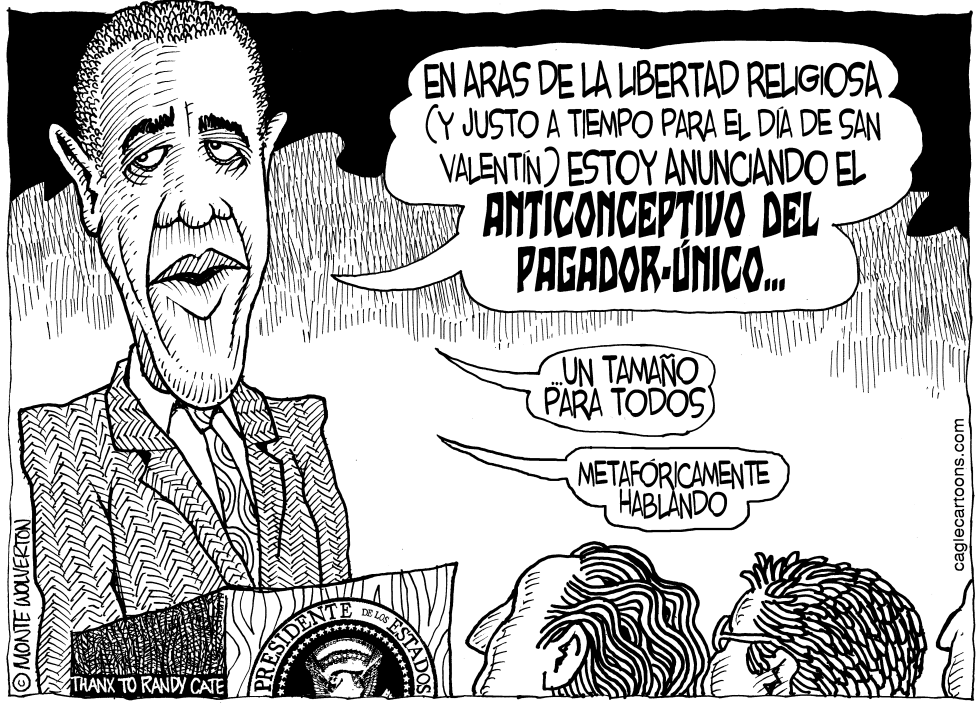 Anticonceptivo del Pagador-Unico