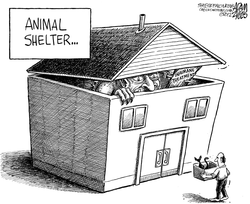 LOCAL SPCA Animal Cruelty