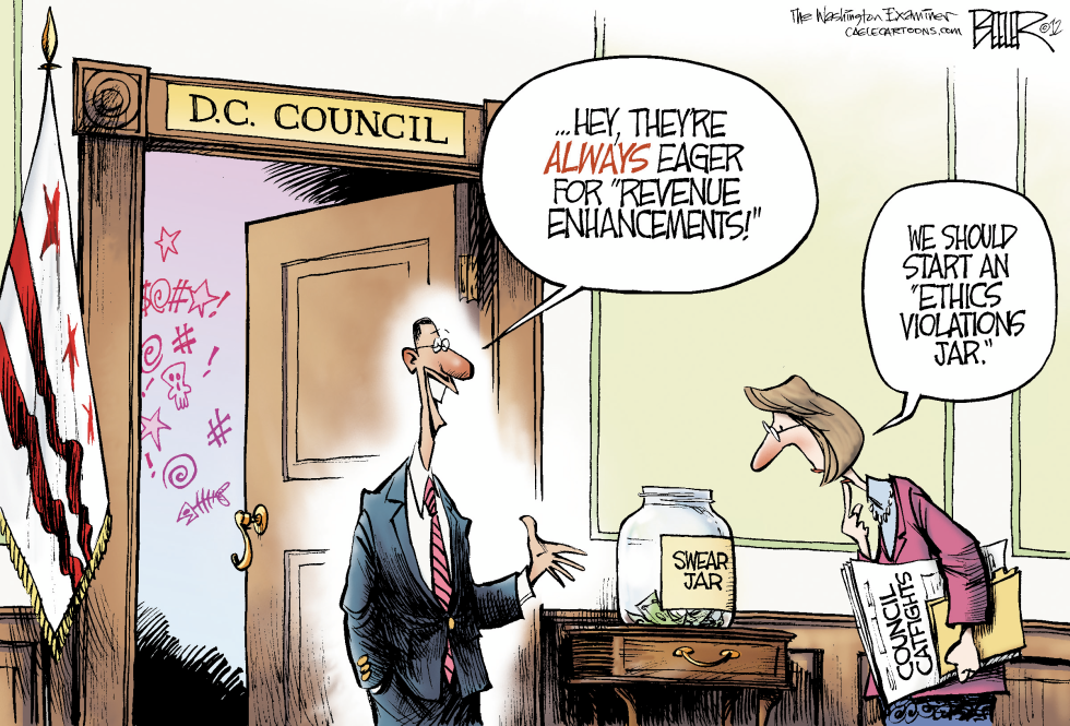 LOCAL DC - Council Catfights COLOR