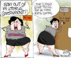 FREE CONTRACEPTION  by Gary McCoy