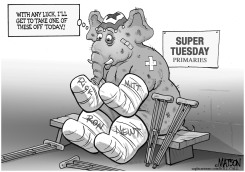 SUPER TUESDAY WISH by R.J. Matson