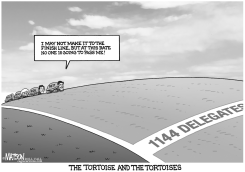 THE TORTOISE AND THE TORTOISES by R.J. Matson