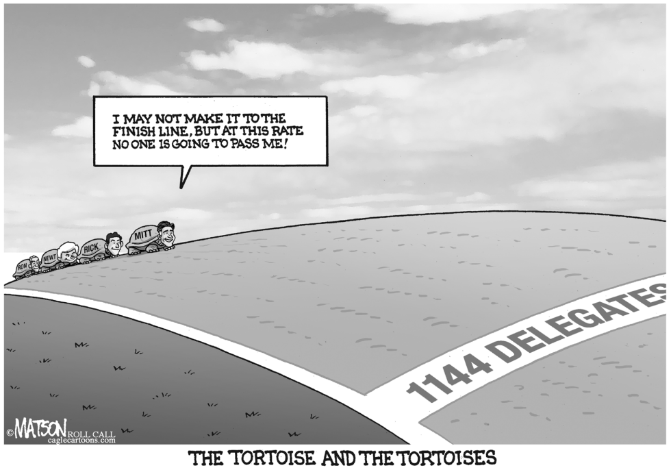  THE TORTOISE AND THE TORTOISES by RJ Matson