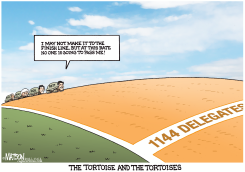 THE TORTOISE AND THE TORTOISES by R.J. Matson