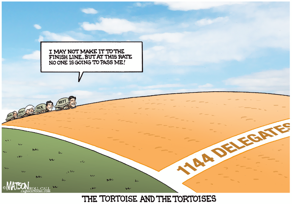 The Tortoise and the Tortoises-COLOR
