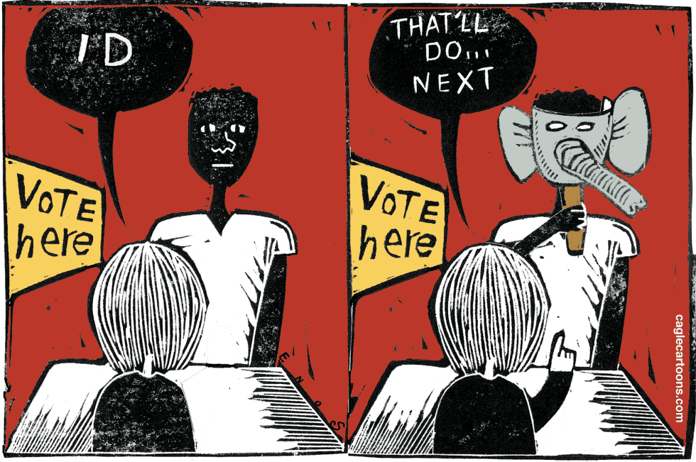 Voter IDs