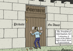 FREEDOM OF INFORMATION ACT by Steve Greenberg