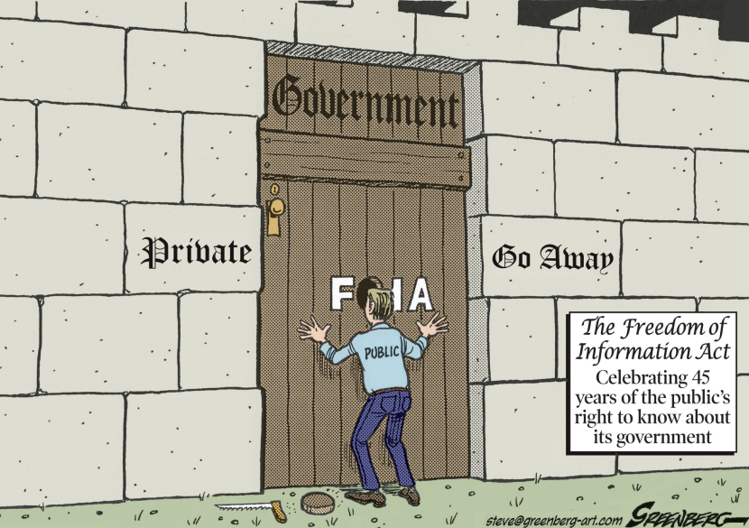 Freedom of Information Act