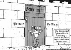 FREEDOM OF INFORMATION ACT BW by Steve Greenberg