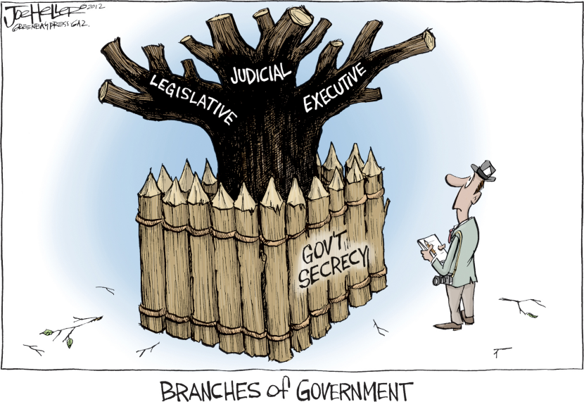 Government Secrecy