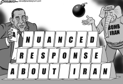 NUANCED ON IRAN BW by Steve Greenberg