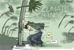 A MIGHTY WIND by Pat Bagley
