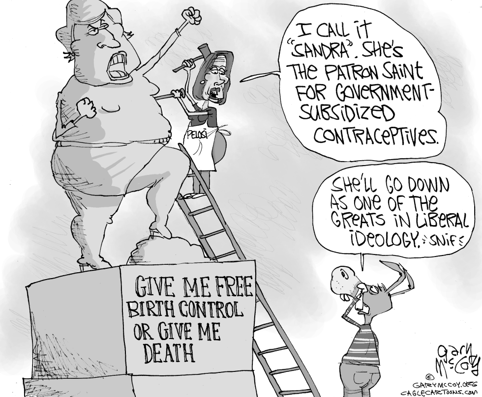Fluke For Subsidized Contraceptives