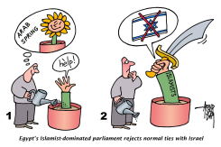 EGYPT AND ISRAEL by Arend Van Dam