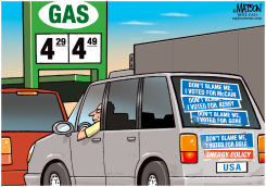 DONT BLAMER VOTER FOR HIGH GAS PRICES by R.J. Matson