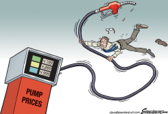 WILD PUMP by Steve Greenberg