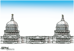 DIVIDED CONGRESS HAS TWO CAPITOLS by R.J. Matson