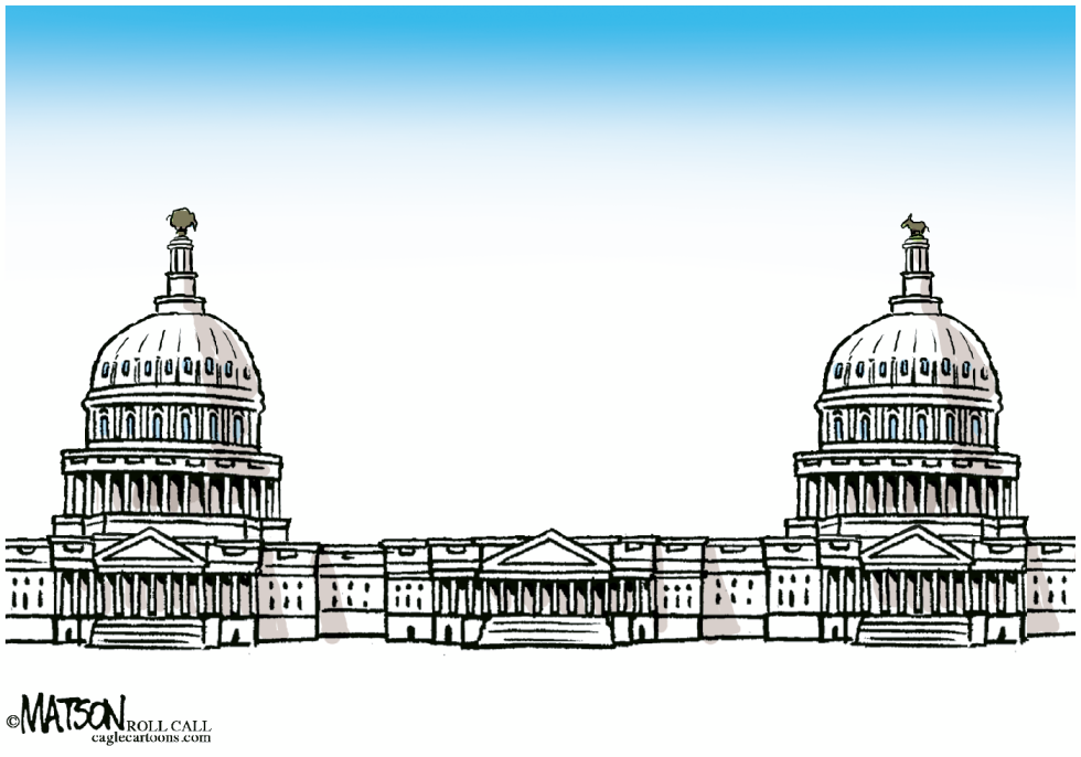  CONGRESO DIVIDIDO TIENE DOS CAPITOLIOS by RJ Matson