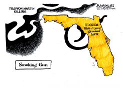 FLORIDA STAND YOUR GROUNDLAW by Jimmy Margulies