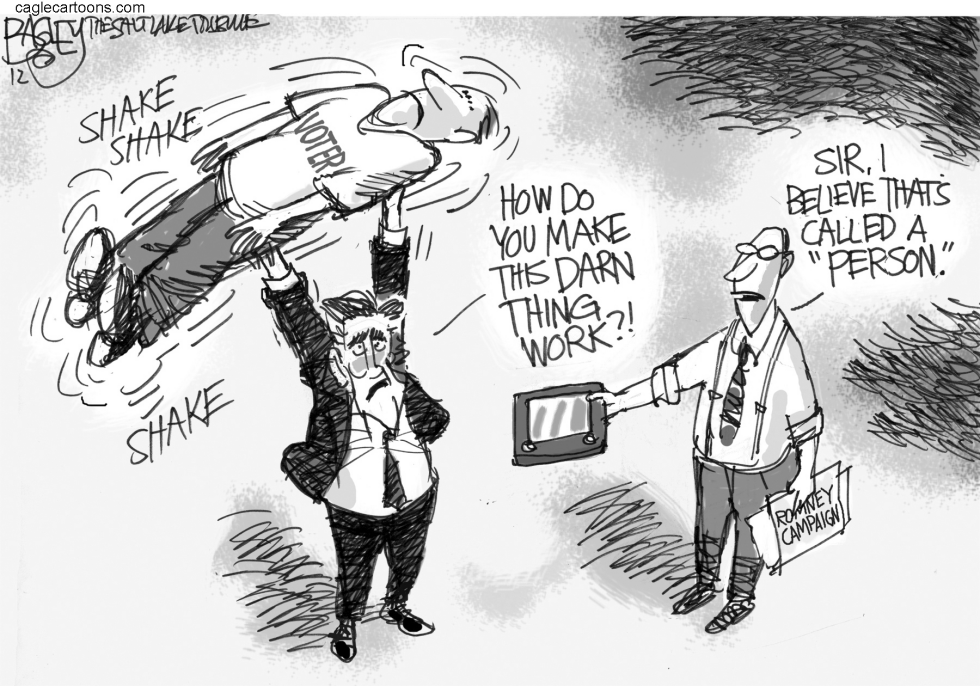 Shaken Mitt