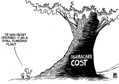OBAMACARE COST, B/W by Randy Bish