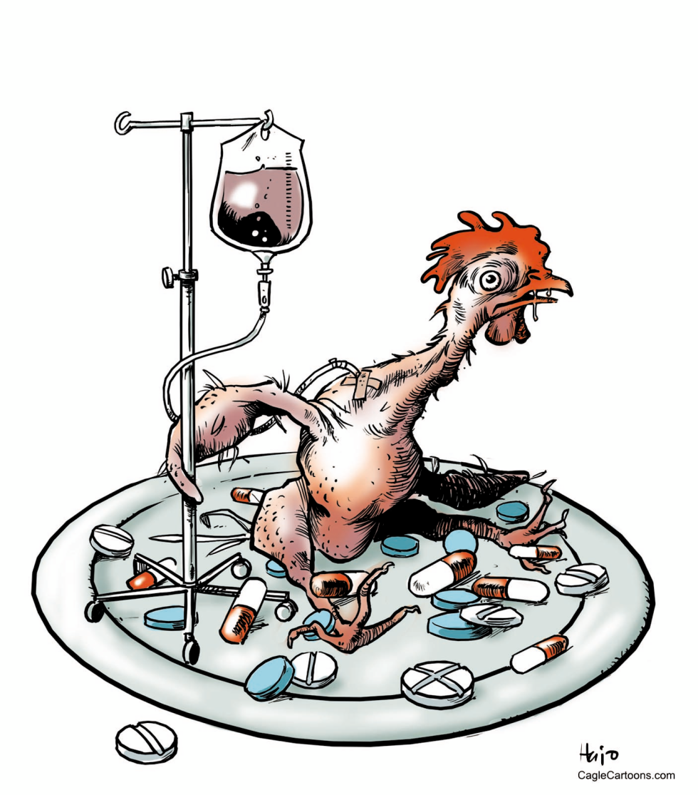 chicken plate