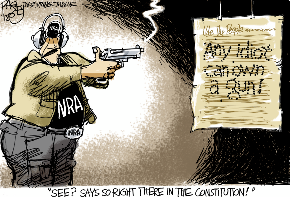 Targeting the Second Amendment