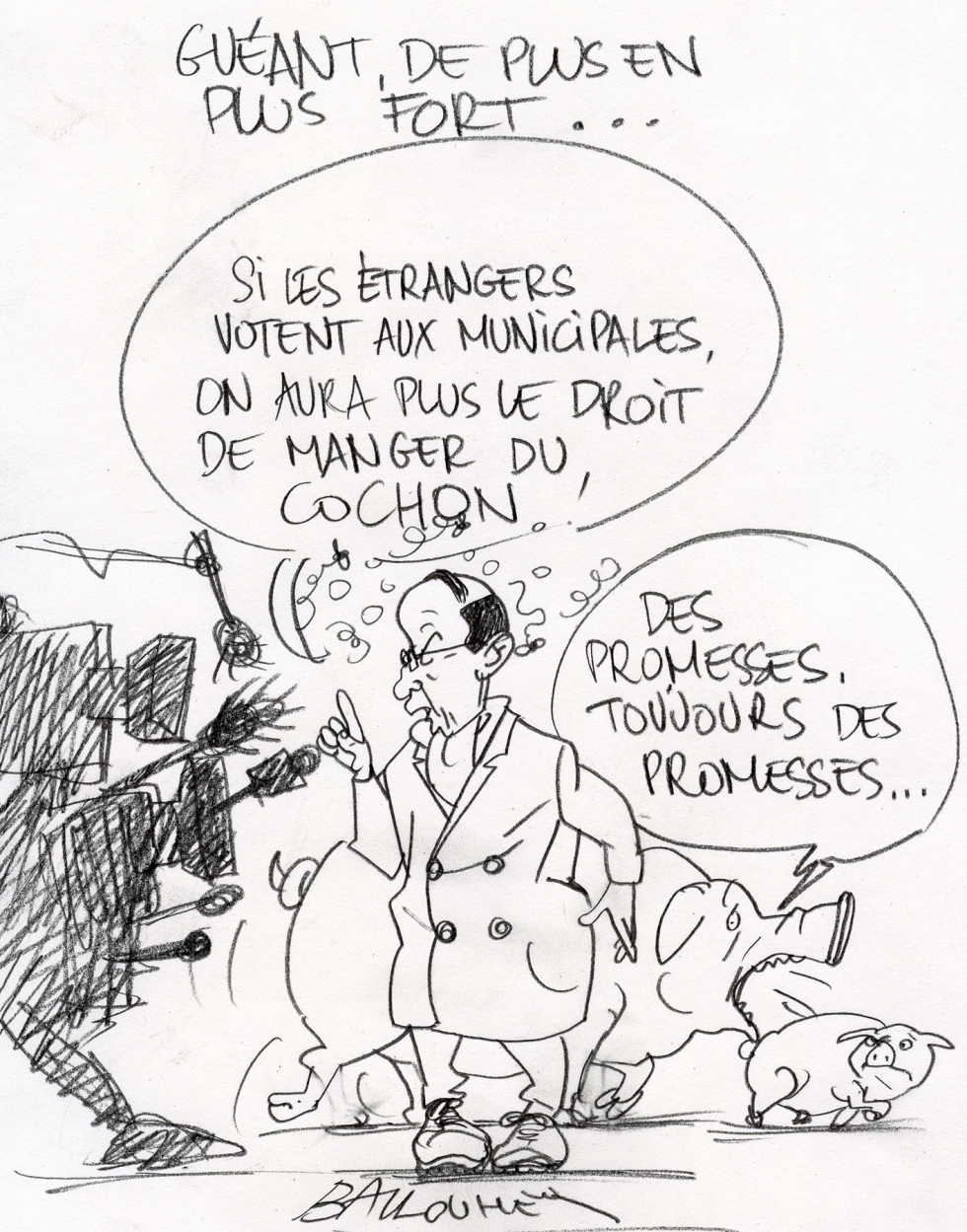 Pigs