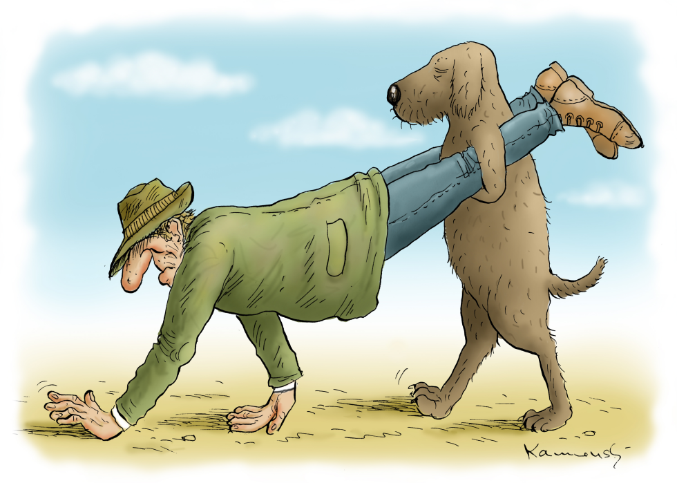 Walking Dog