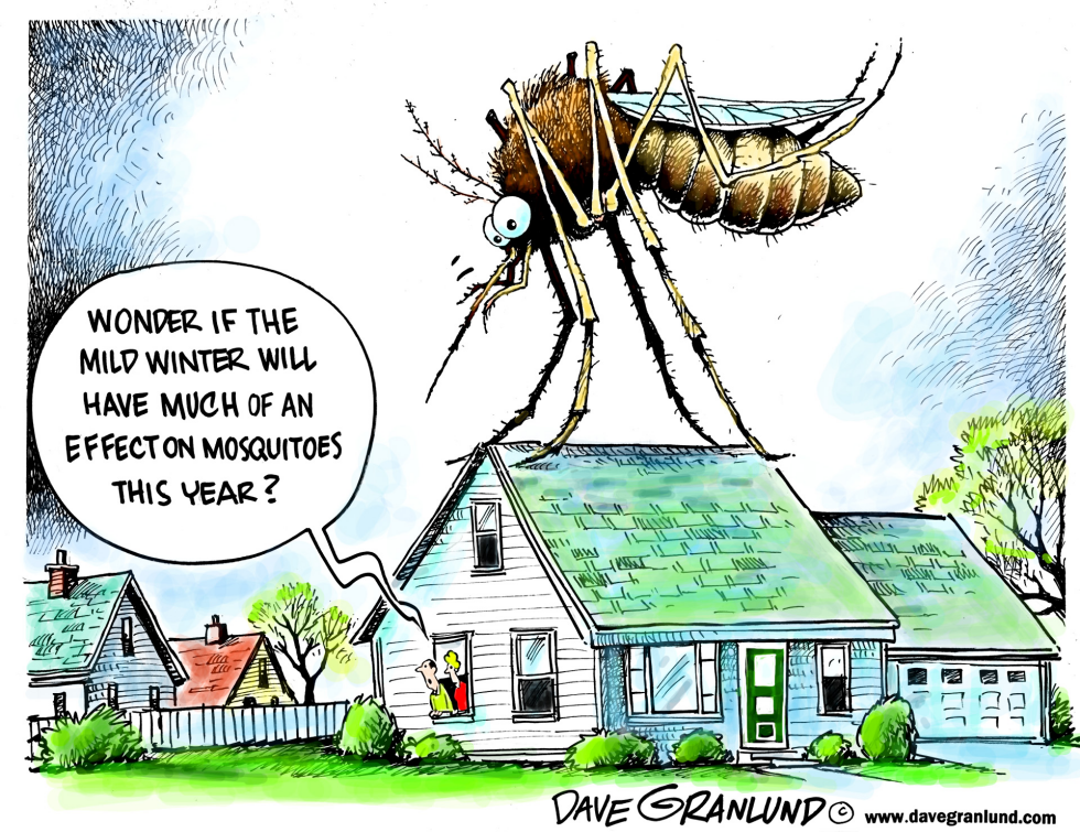 Mild weather and bugs
