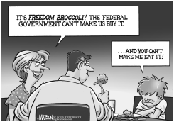 FREEDOM BROCCOLI by R.J. Matson
