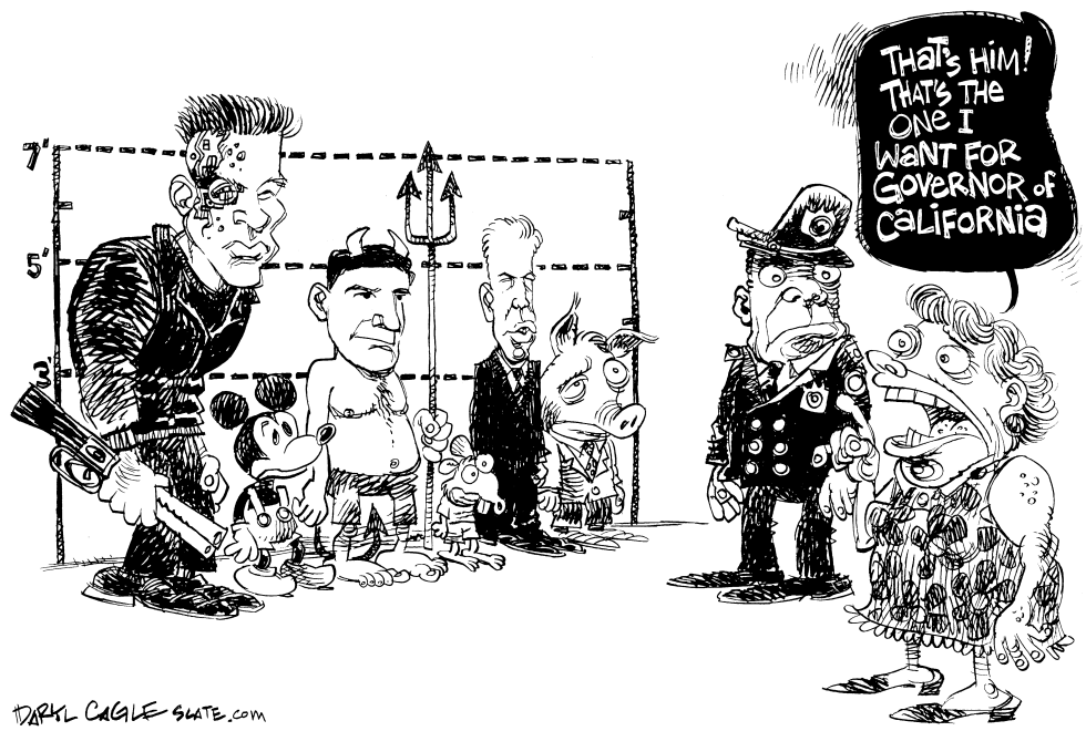 California Governor Choice