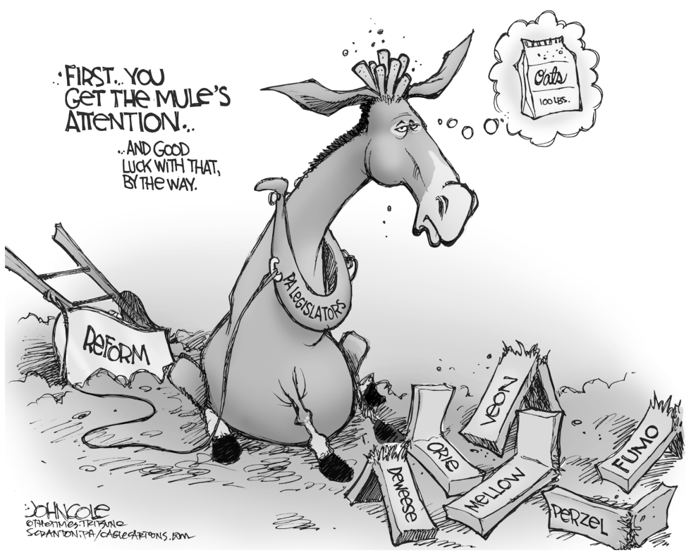 LOCAL PA -- Legislative reform BW