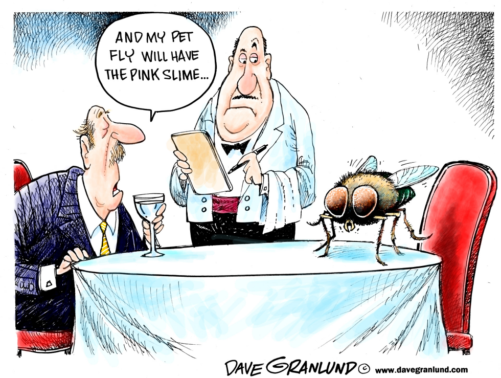 Pink slime controversy
