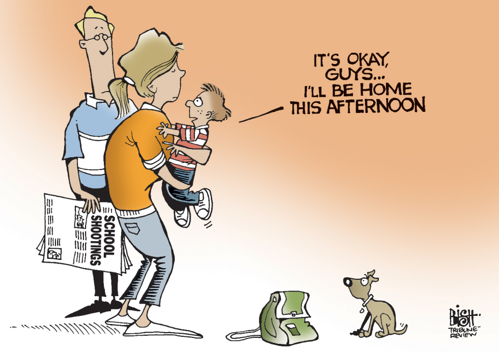 SCHOOL SHOOTINGS, COLOR