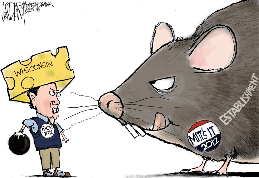Cheese Head