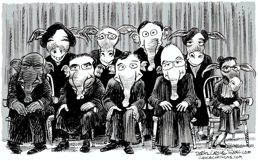 Partisan Supreme Court