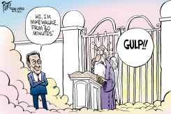 MIKE WALLACE REPORTING by Bruce Plante