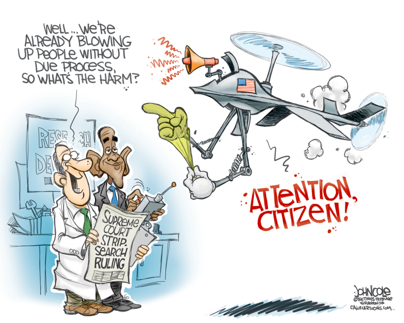 Strip-search drones COLOR