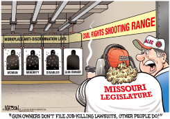 LOCAL MO-ANTI-DISCRIMINATION LAW FOR GUN OWNERS by R.J. Matson
