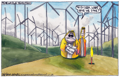 SCOTTISH RENEWABLE ENERGY DISASTER by Iain Green