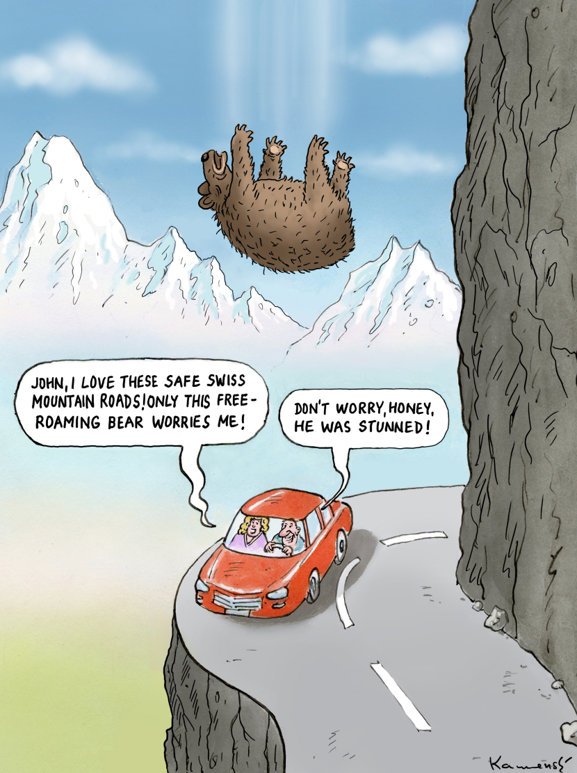 Stunned Swiss Bear