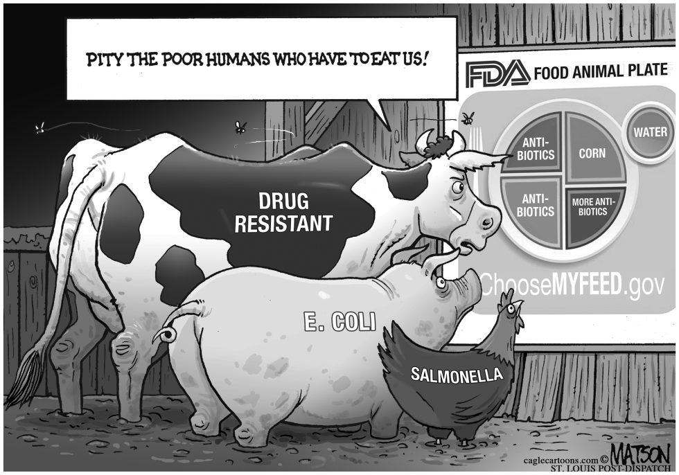 FDA Choose My Feed Food Plate For Food Animals