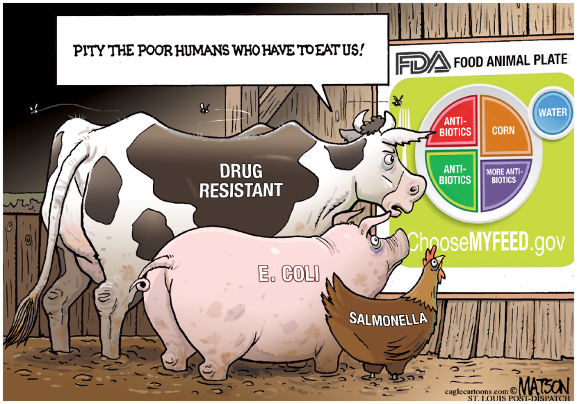FDA Choose My Feed Food Plate For Food Animals-COLOR