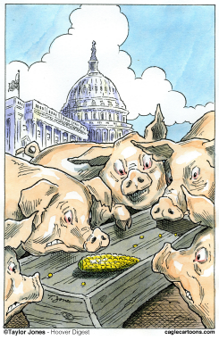 FEEDING TROUGH ALMOST BARE -  by Taylor Jones