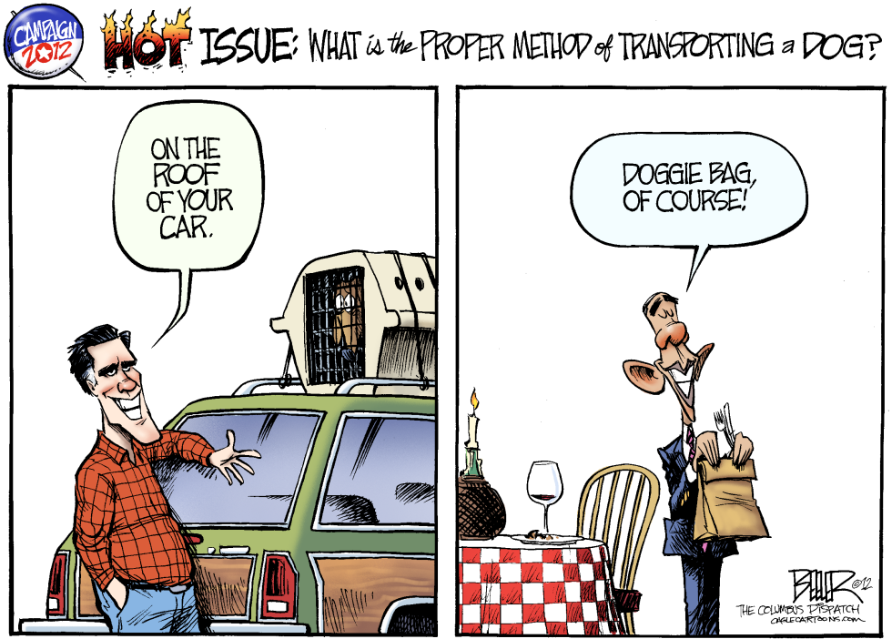 The Dog Issue COLOR